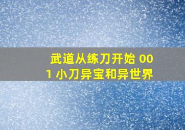 武道从练刀开始 001 小刀异宝和异世界